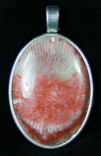 Fossil Red Horn Coral Pendant - Utah #14877